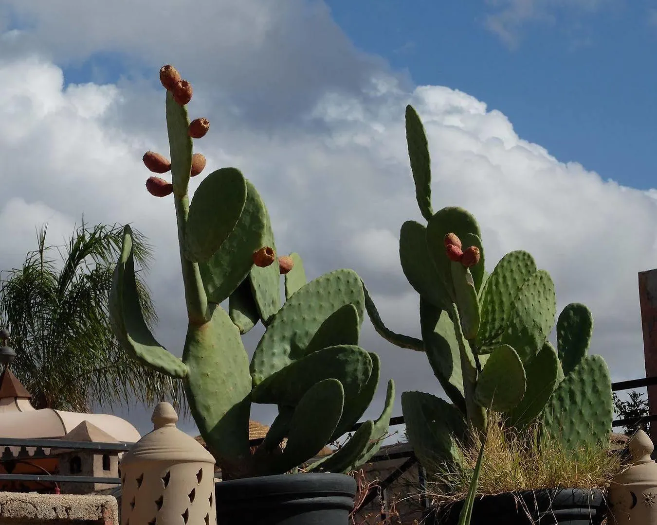 Riad Pierres Et Saveurs Soleil Morocco